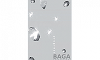 BAGA: Baga Progress