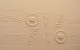 Новинки CERSAIE 2008