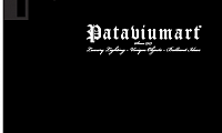 PATAVIUM ART: TUTTO